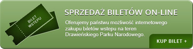 Zakup biletów DPN